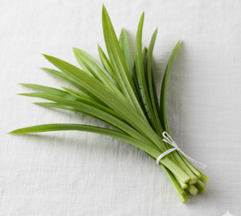 Rampe/Pandan Leaves 2 Pack