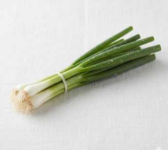 Spring Onion