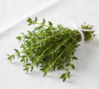 Thyme